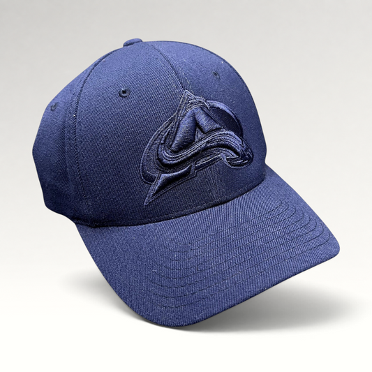 Raree Finds Colorado Avalanche navy blue fitted hat with tonal embroidered team logo and curved bill