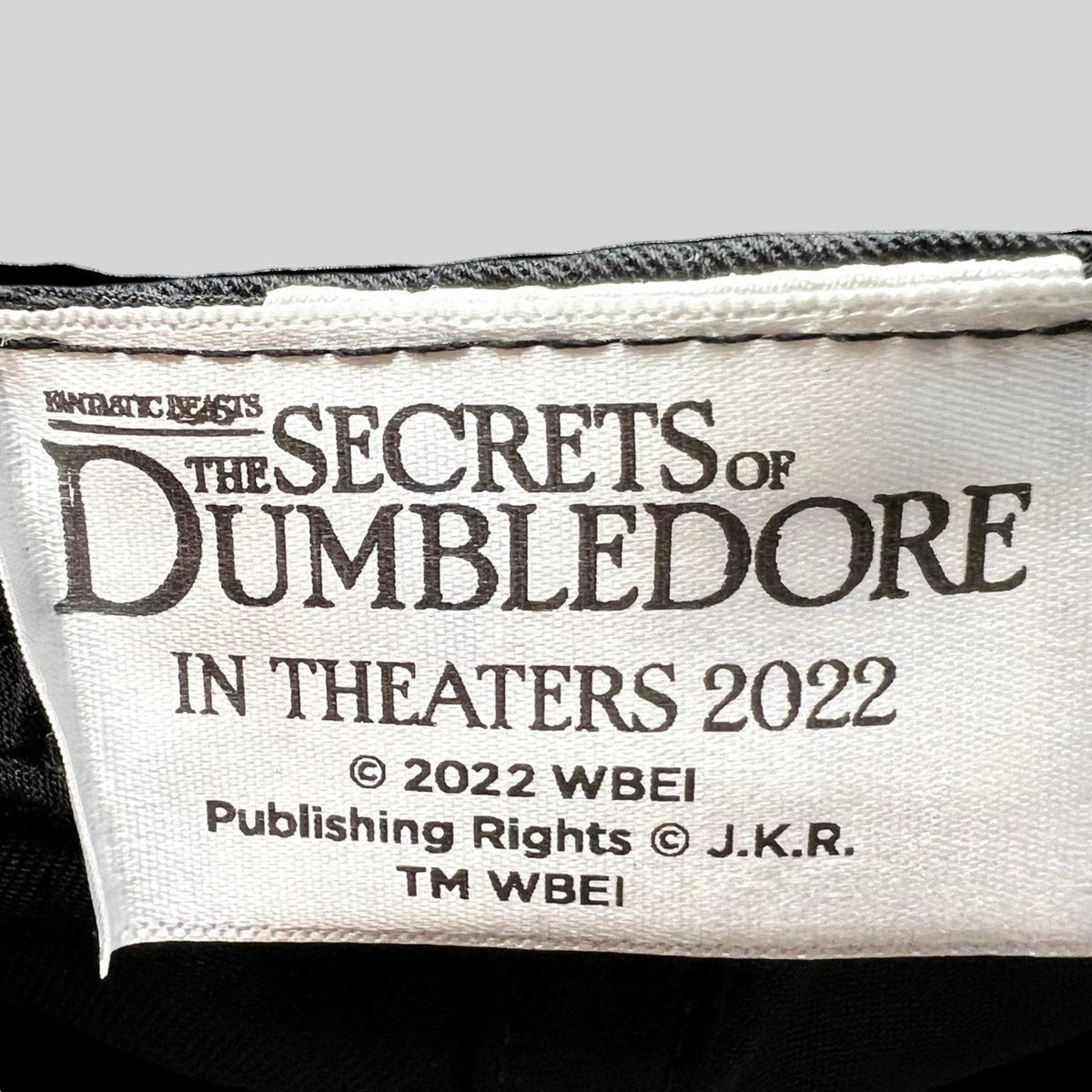 Raree Finds Fantastic Beasts The Secrets of Dumbledore 2022 movie cap interior brand label tag