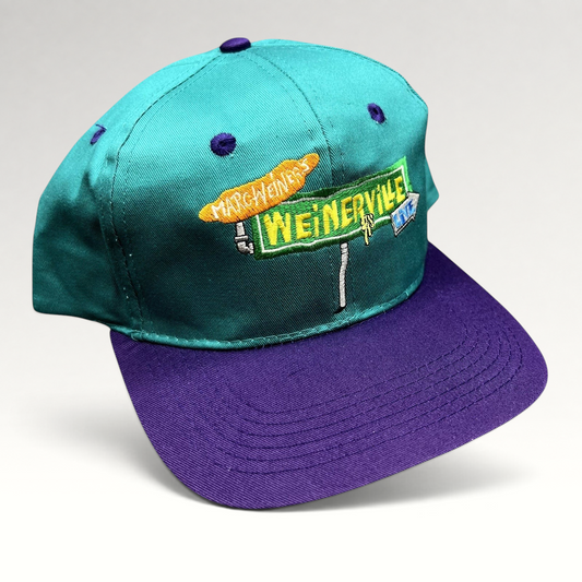 Raree Finds vintage 90s Nickelodeon Weinerville snapback hat in teal and purple with embroidered street sign logo