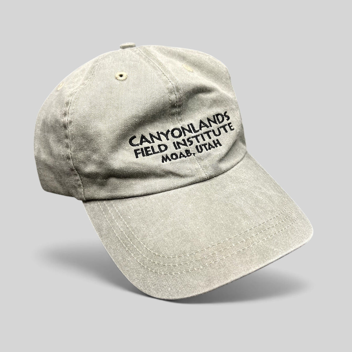Vintage Canyonlands Field Institute Moab Utah Strapback Hat Leather Strap