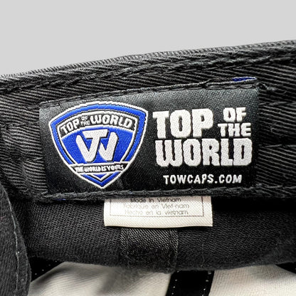 Alabama Crimson Tide 2013 BCS National Championship Strapback Top of the World