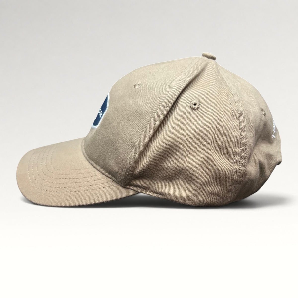 Ski.com Harvard Square 2000s Tan Strapback Hat, photo 4