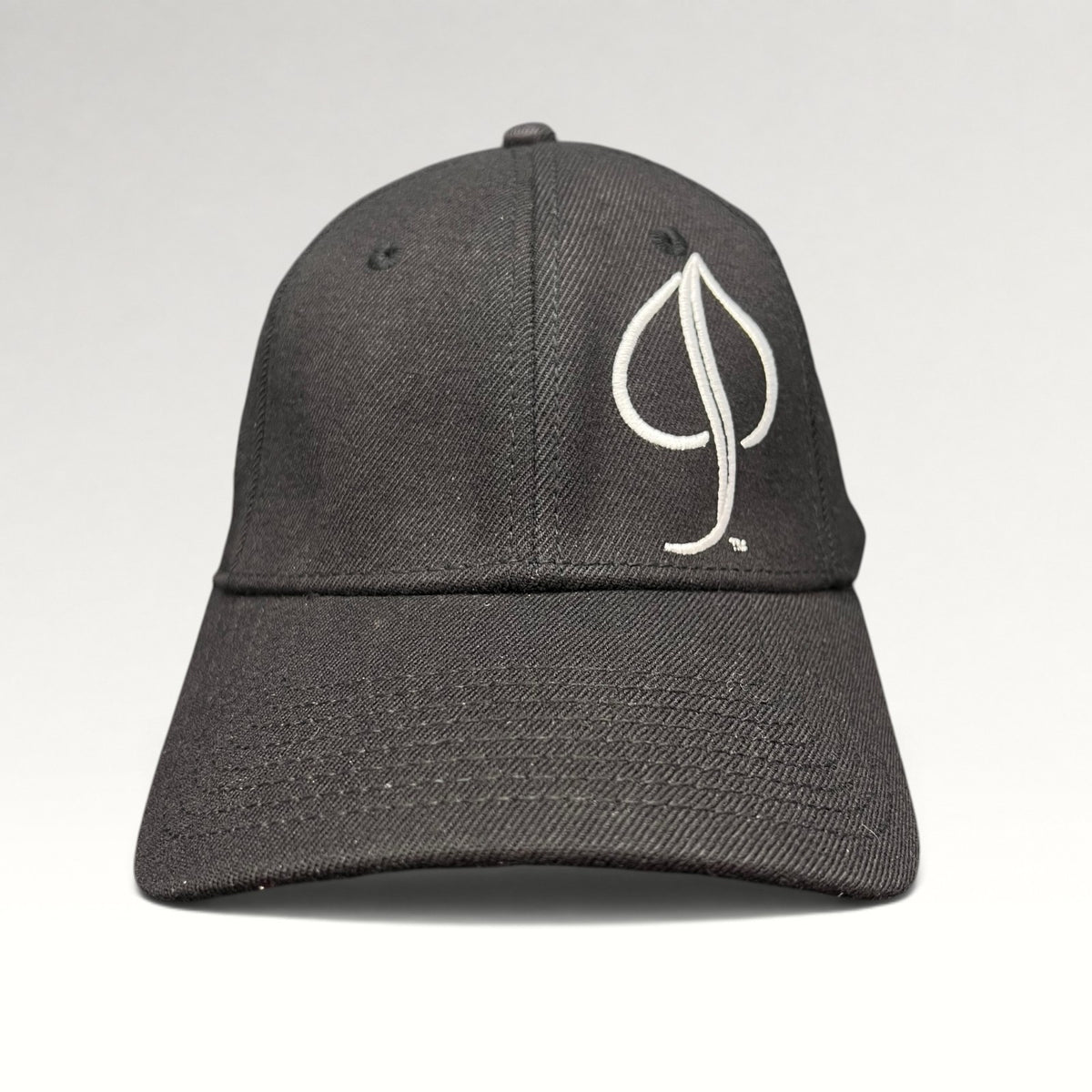 Aspen Audi Helly Hansen A-Flex Fitted Hat OSFM, photo 1