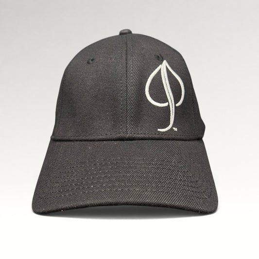 Aspen Audi Helly Hansen A-Flex Fitted Hat OSFM, photo 1