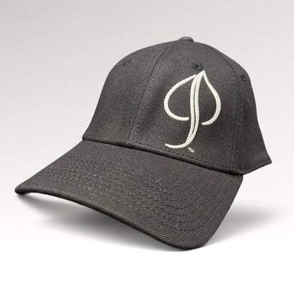 Aspen Audi Helly Hansen A-Flex Fitted Hat OSFM, photo 3