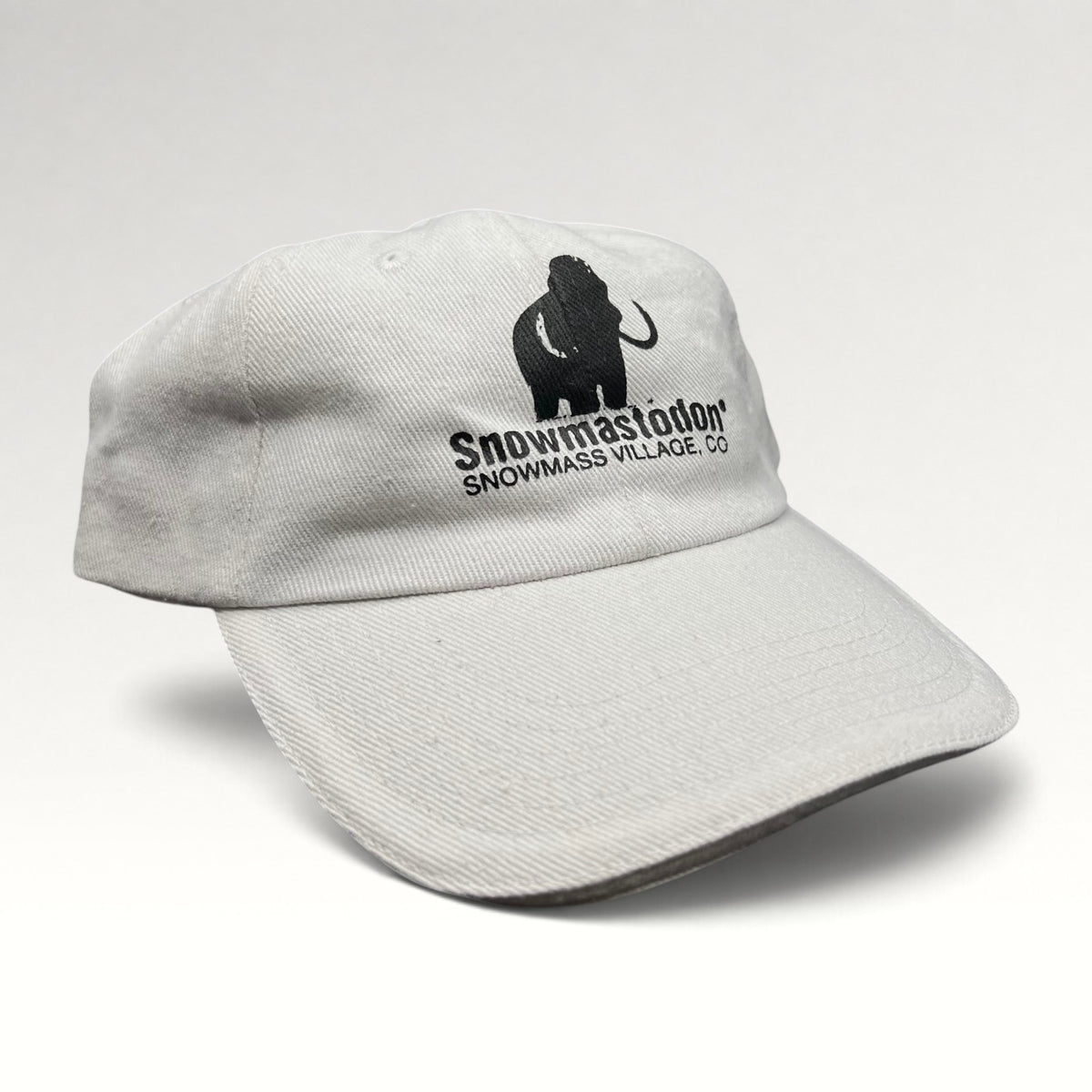Snowmastodon Snowmass Village Strapback Hat, photo 2