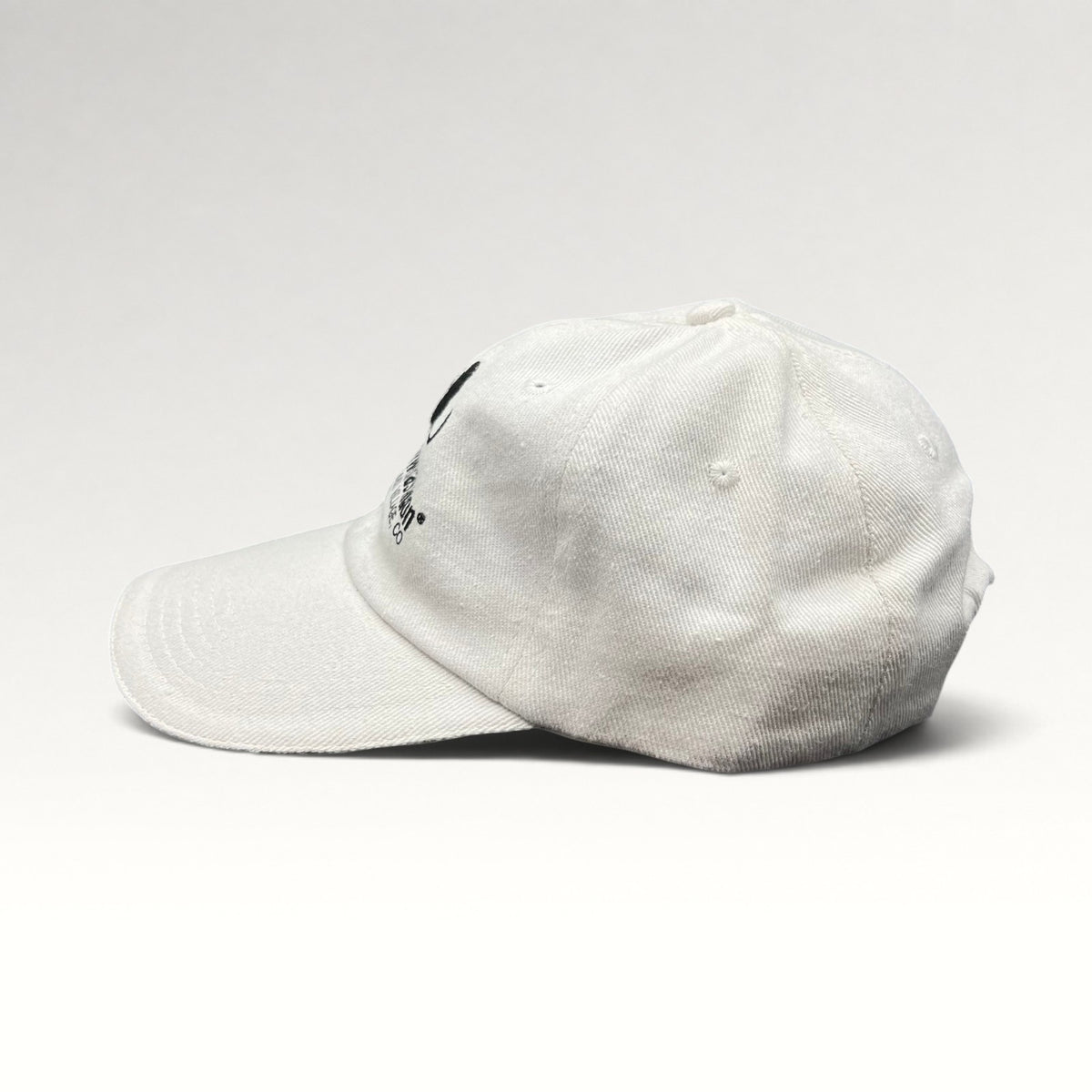 Snowmastodon Snowmass Village Strapback Hat, photo 4