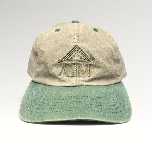 AIM Invest with Discipline 1990s Strapback Hat, photo 1