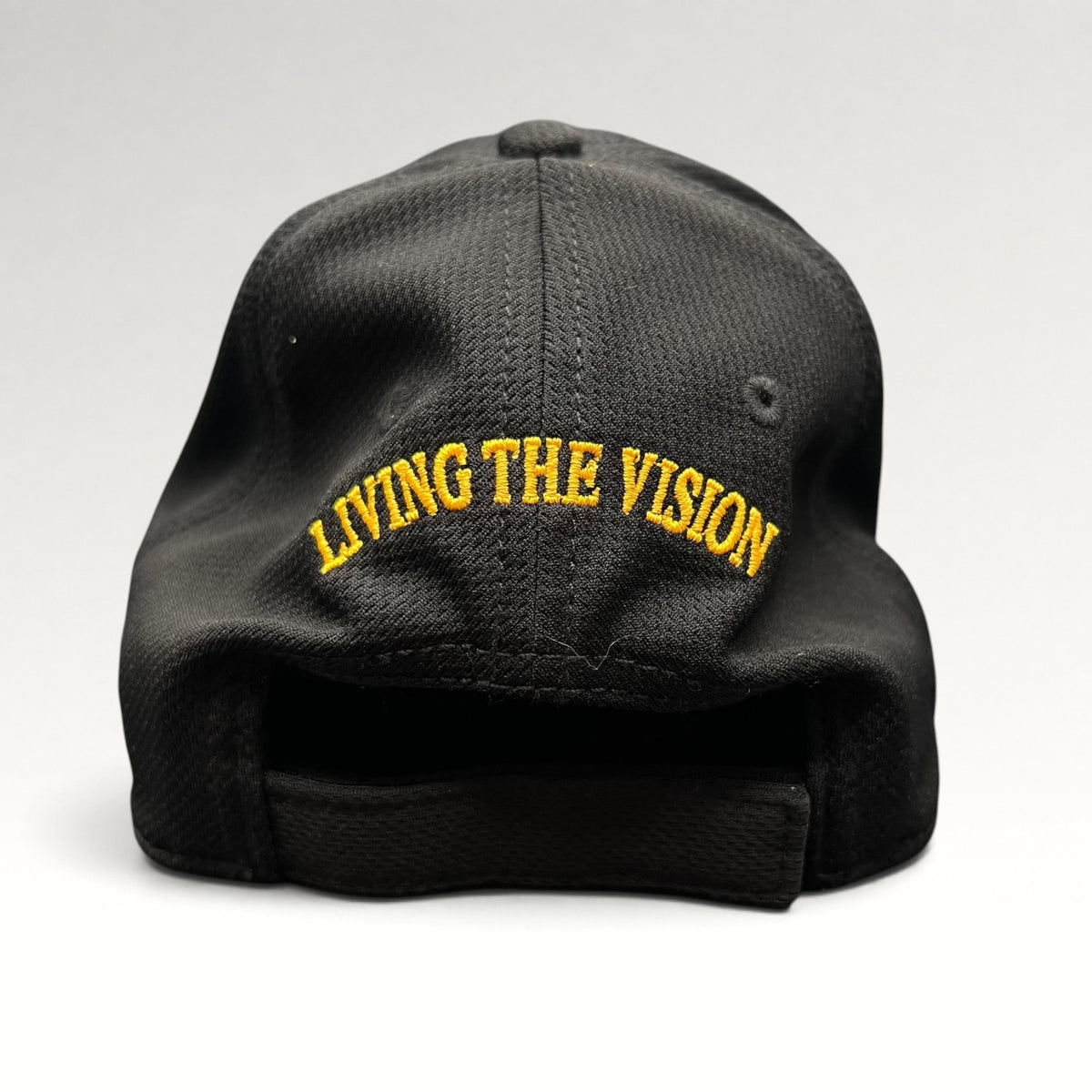 USC FMS Living the Vision OTTO 2000s Strapback Hat, photo 6