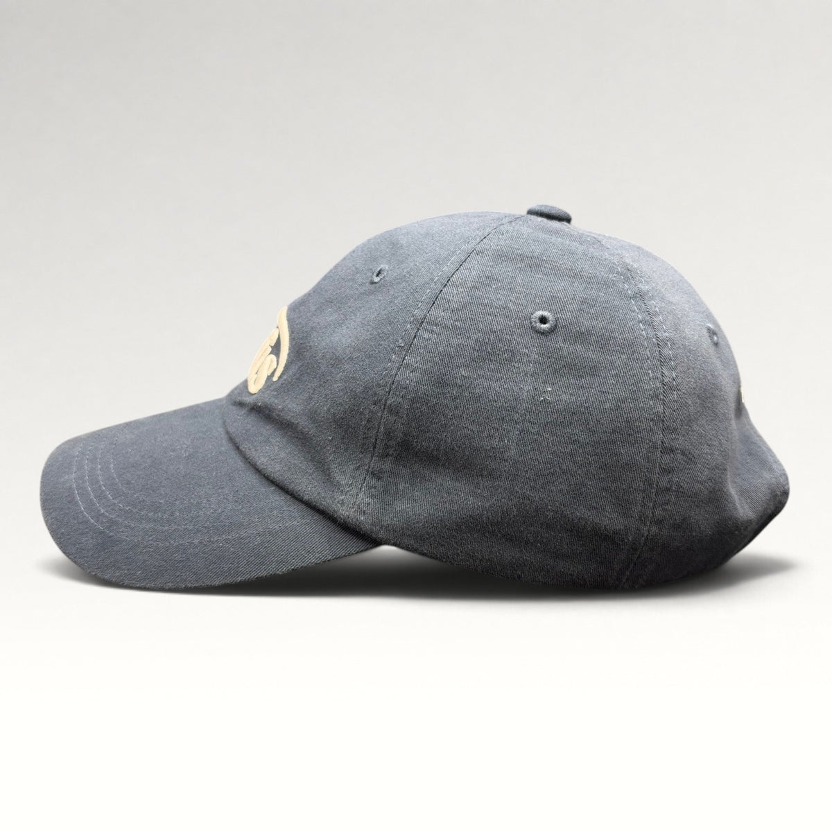 EMIS Logo Modern Strapback Hat — photo 4