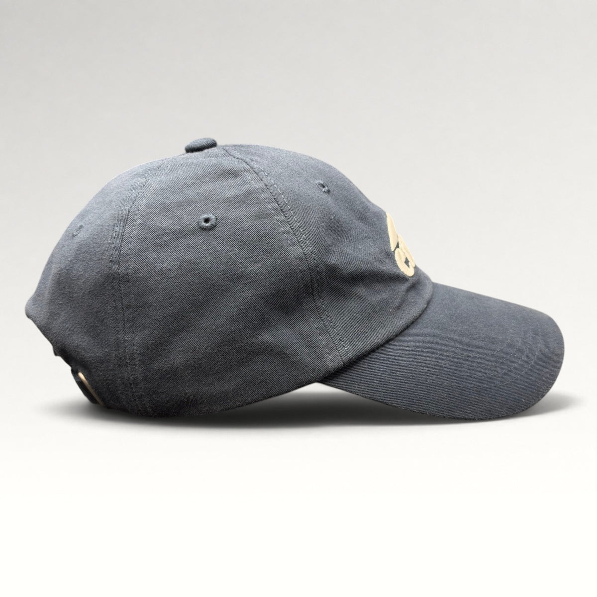EMIS Logo Modern Strapback Hat — photo 5