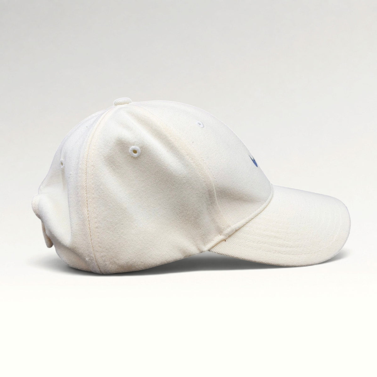 Nike Swoosh Modern Strapback Hat, photo 5