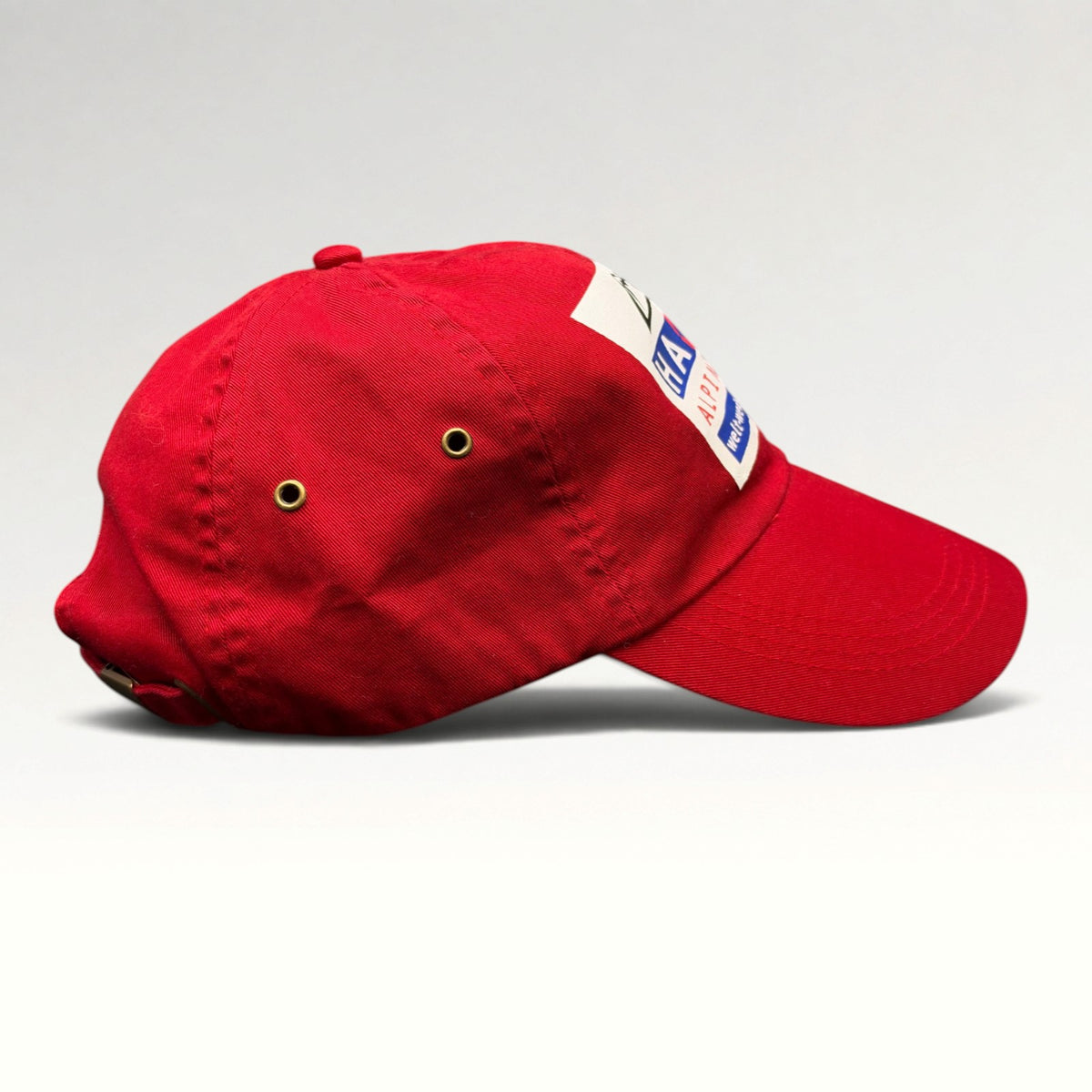 Hagen Alpine Tours 2000s Strapback Hat photo 5