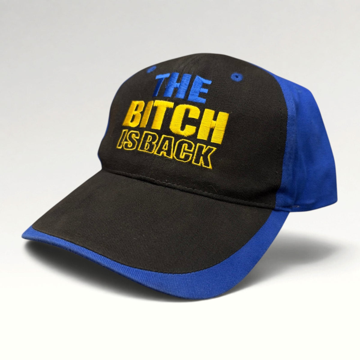 Elton John The Bitch Is Back 1995 Strapback Hat, photo 3