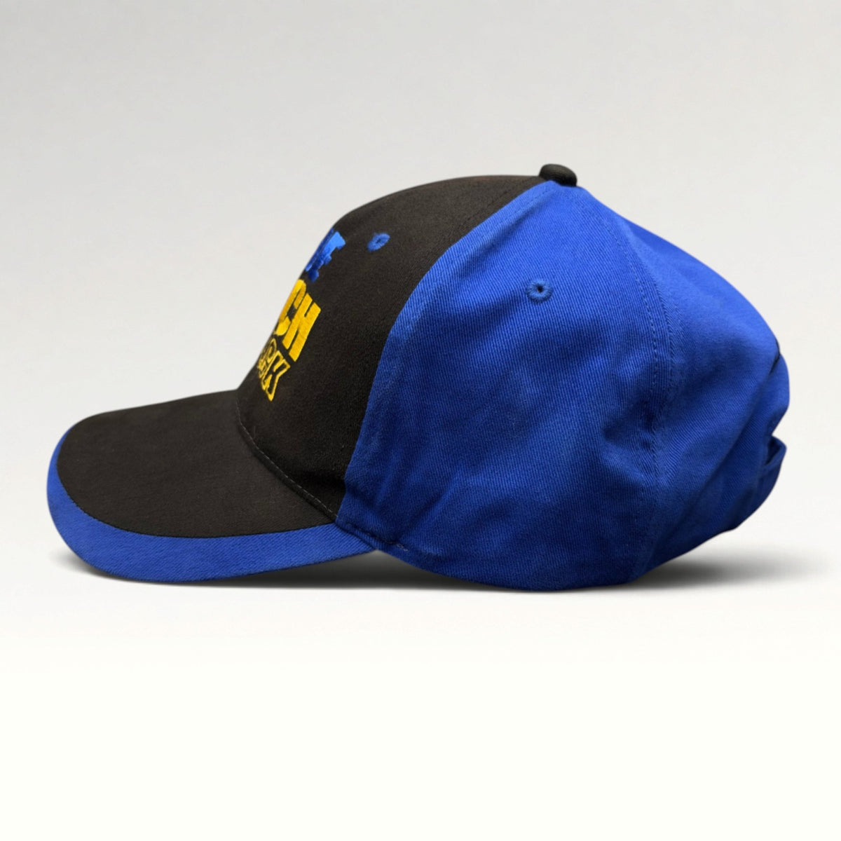 Elton John The Bitch Is Back 1995 Strapback Hat, photo 4
