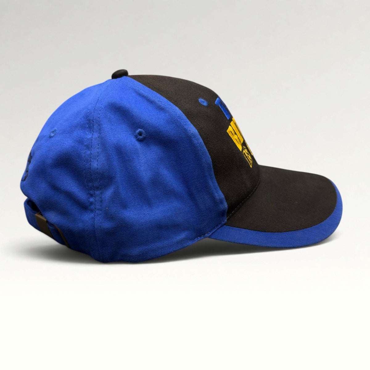 Elton John The Bitch Is Back 1995 Strapback Hat, photo 5
