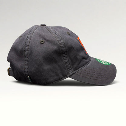 Princeton University Press Strapback Hat, photo 5