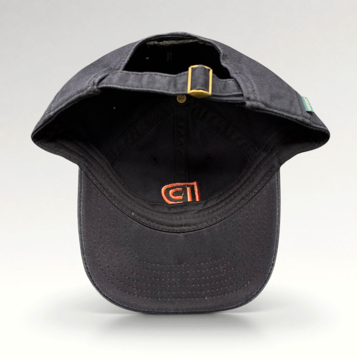 Princeton University Press Strapback Hat, photo 7