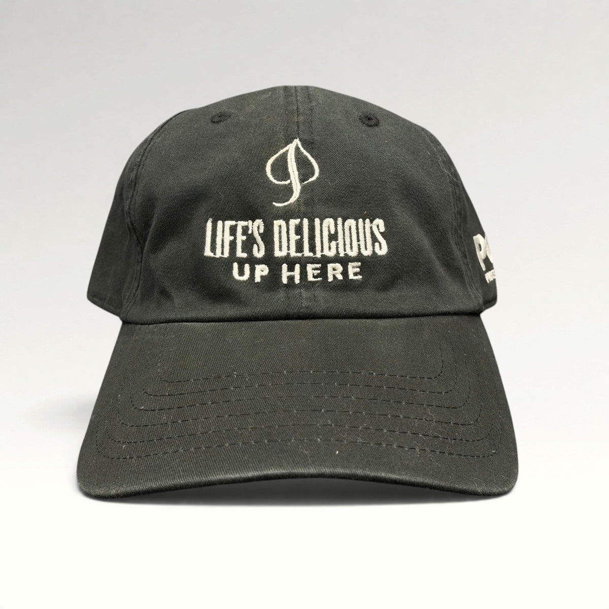Aspen Life's Delicious Up Here POW Strapback Hat photo 1