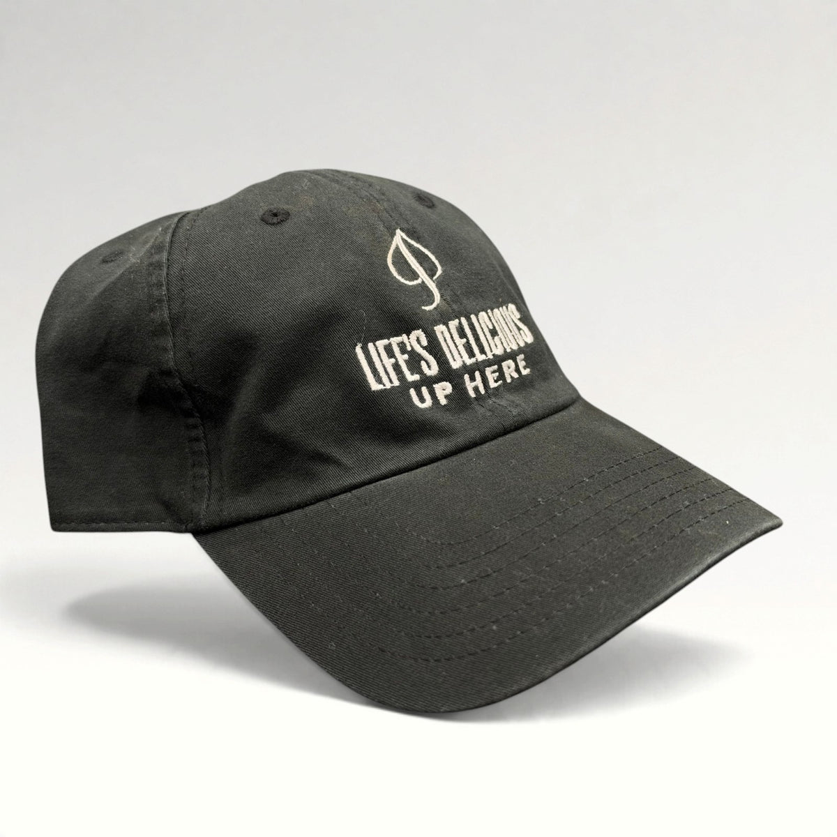 Aspen Life's Delicious Up Here POW Strapback Hat photo 2
