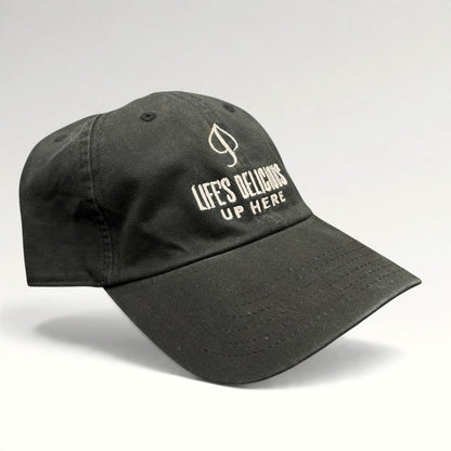 Aspen Life's Delicious Up Here POW Strapback Hat photo 2