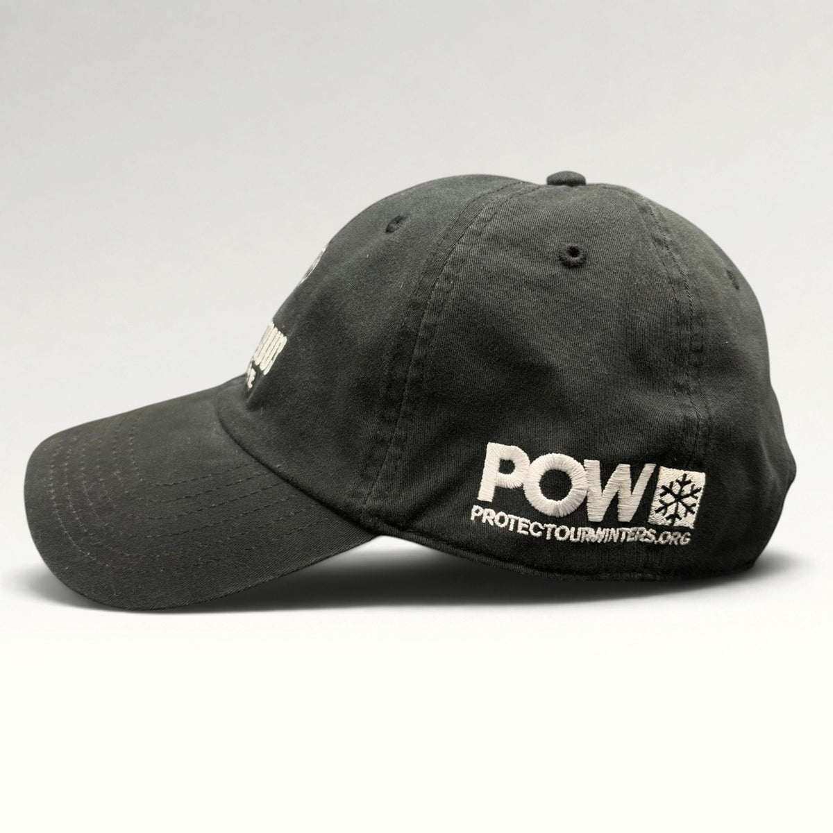 Aspen Life's Delicious Up Here POW Strapback Hat photo 4