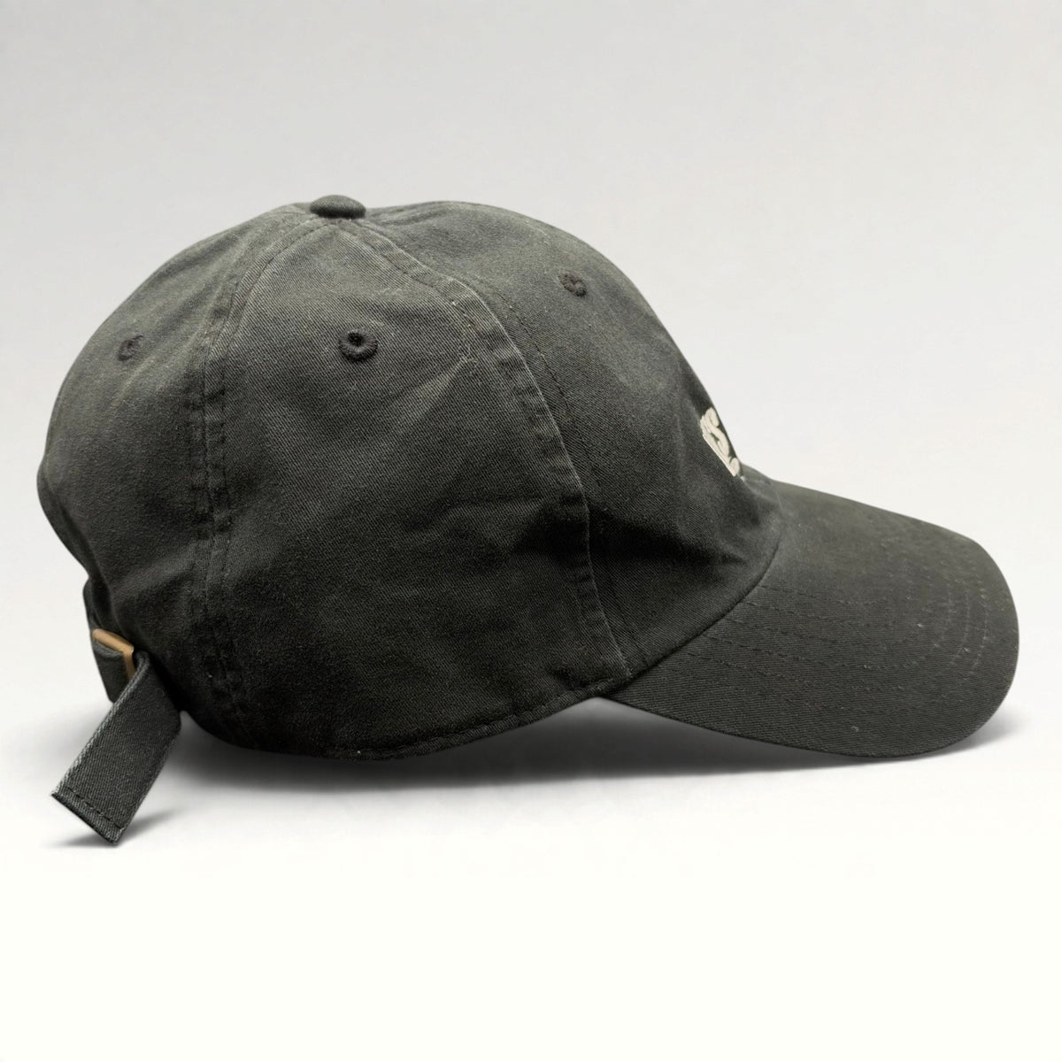 Aspen Life's Delicious Up Here POW Strapback Hat photo 5