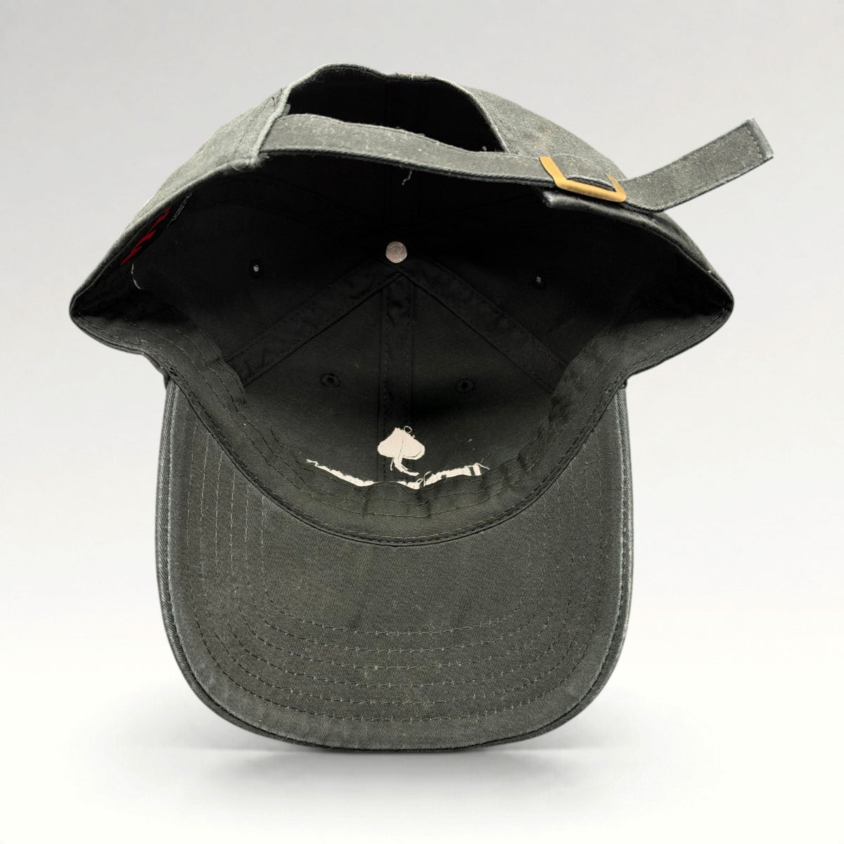 Aspen Life's Delicious Up Here POW Strapback Hat photo 6