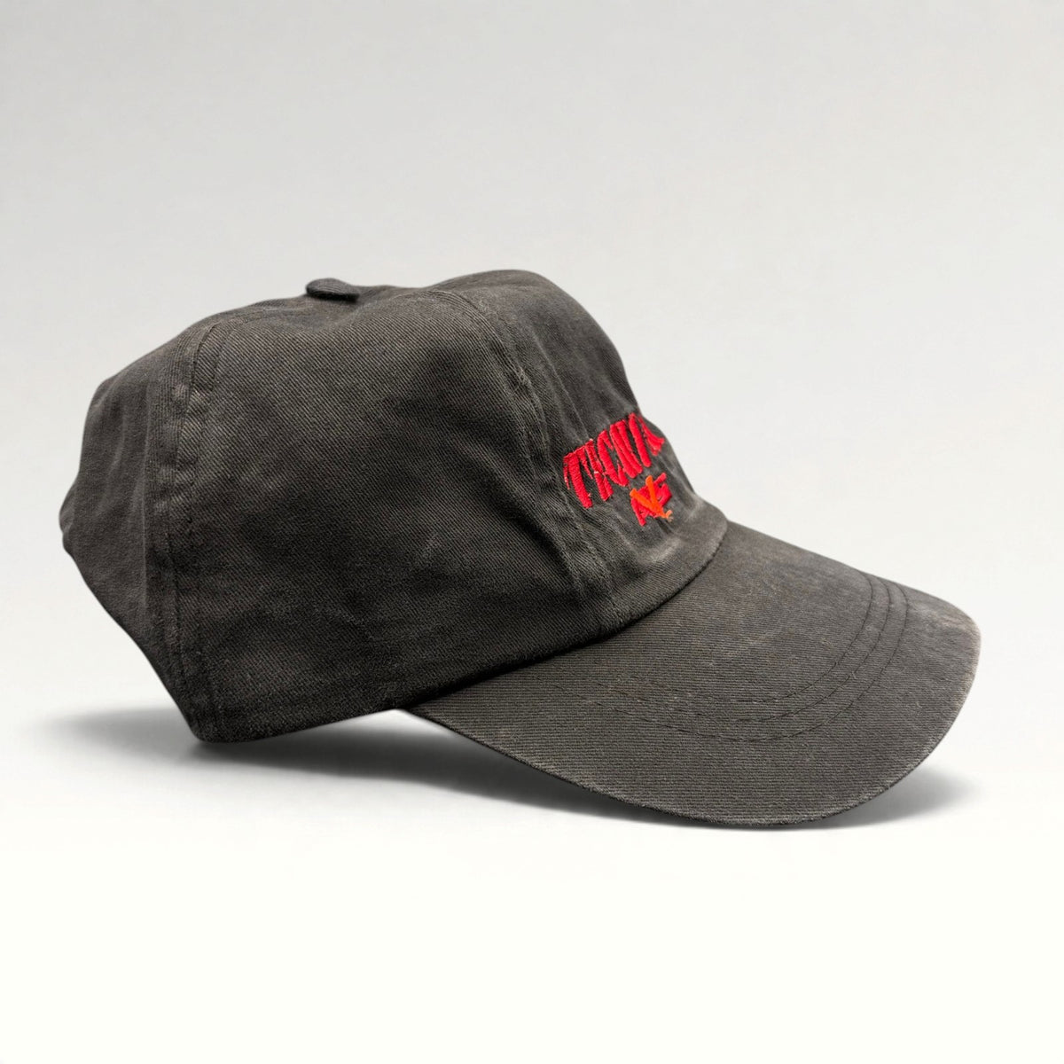 Tecnica AVS hat detail 5