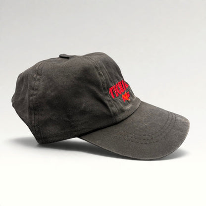 Tecnica AVS hat detail 5