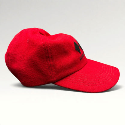 GAP Double Black Diamond Expert Only Vintage Strapback Hat photo 5