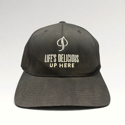 Aspen Life’s Delicious Up Here Flexfit Fitted Hat L–XL photo 1