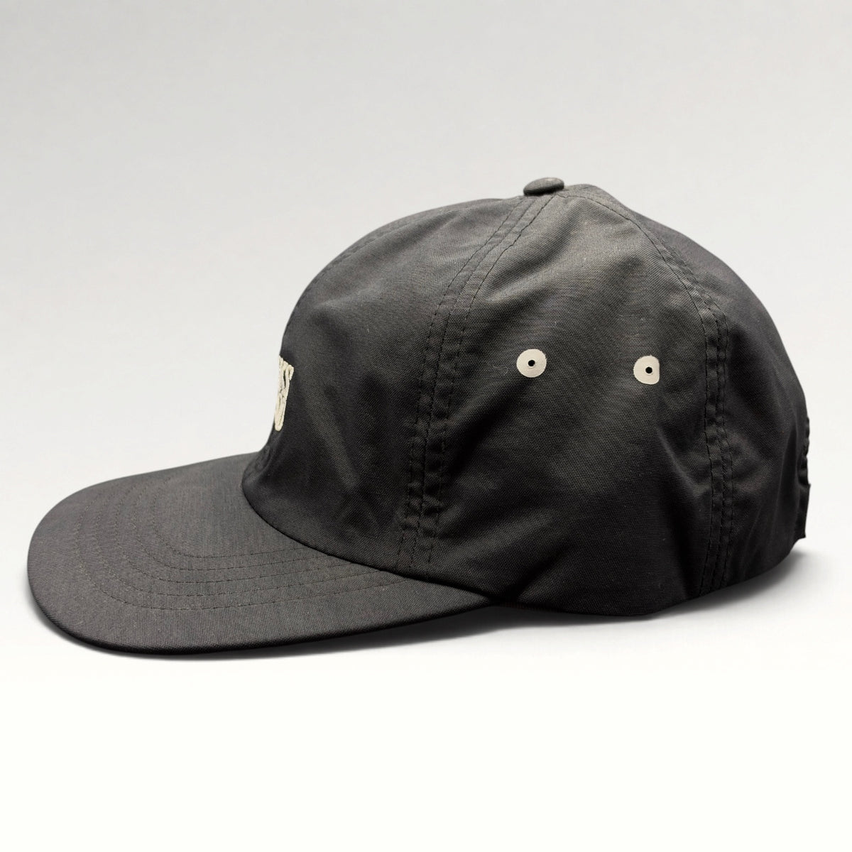 Bricks & Wood Los Angeles Richardson Strapback Hat photo 4