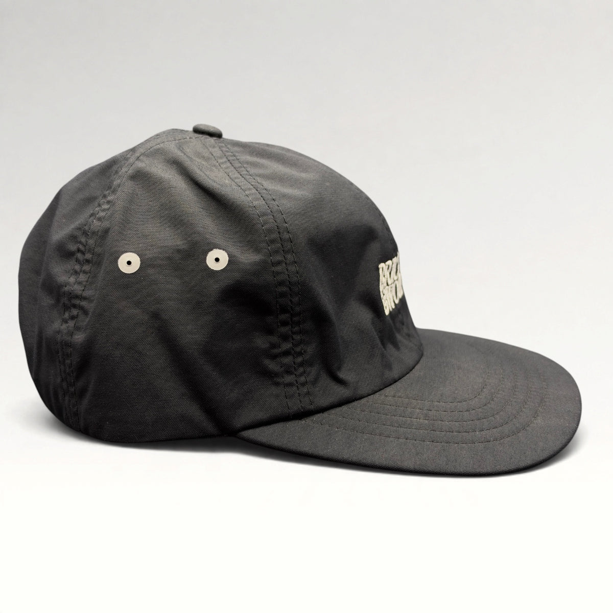 Bricks & Wood Los Angeles Richardson Strapback Hat photo 5