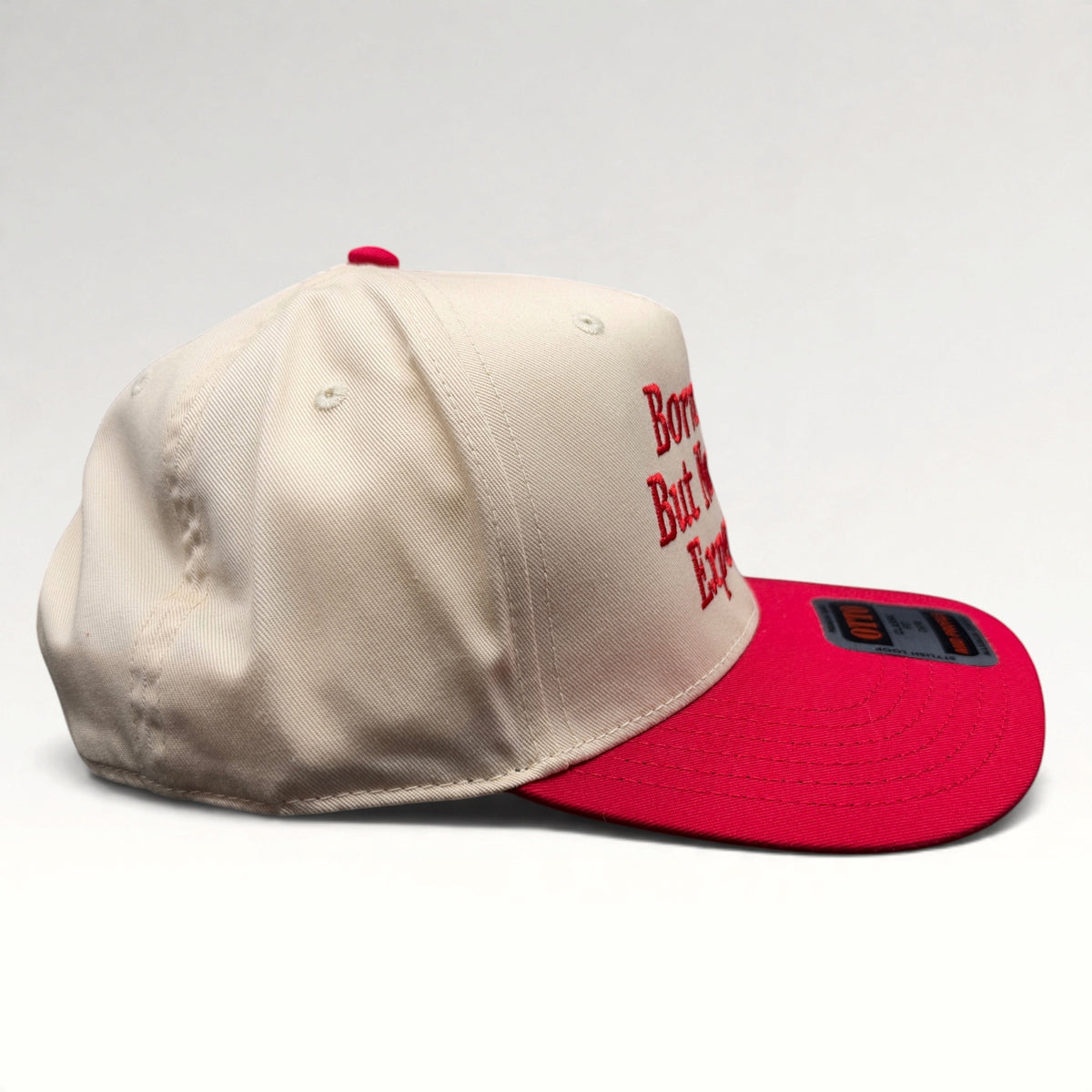 Born Free But Now I'm Expensive OTTO Snapback Hat, photo 5