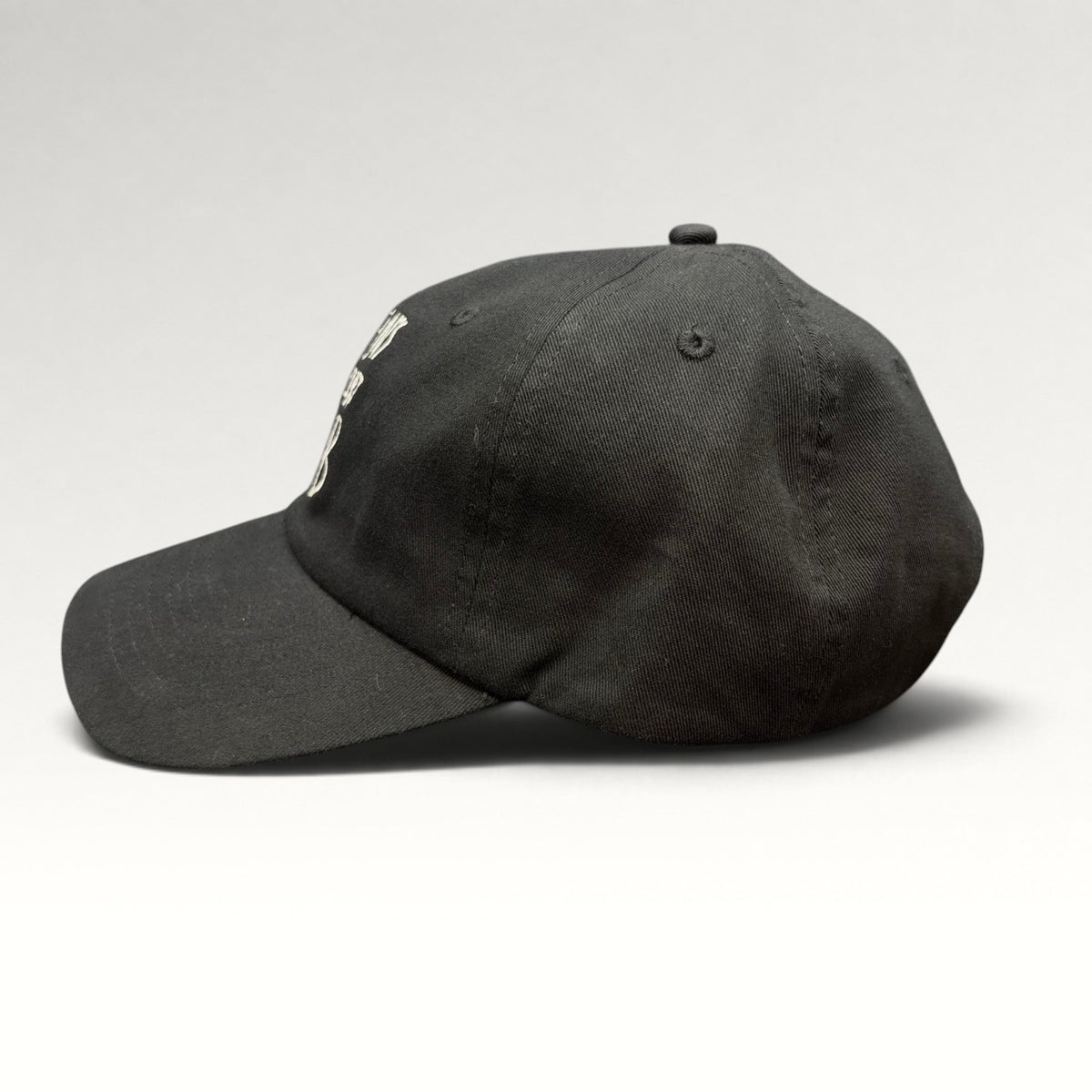 Dylan's T-Shirt Club Strapback Hat, photo 4