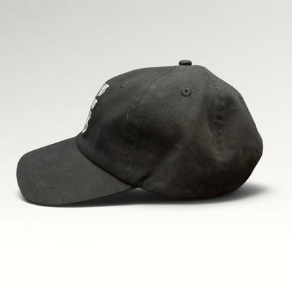Dylan's T-Shirt Club Strapback Hat, photo 4