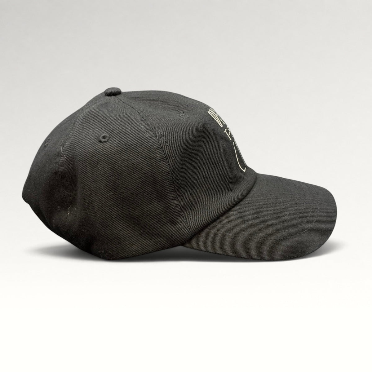 Dylan's T-Shirt Club Strapback Hat, photo 5