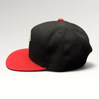 Brixton MFG Co Panther Snapback Hat view 4