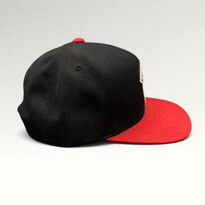 Brixton MFG Co Panther Snapback Hat view 5