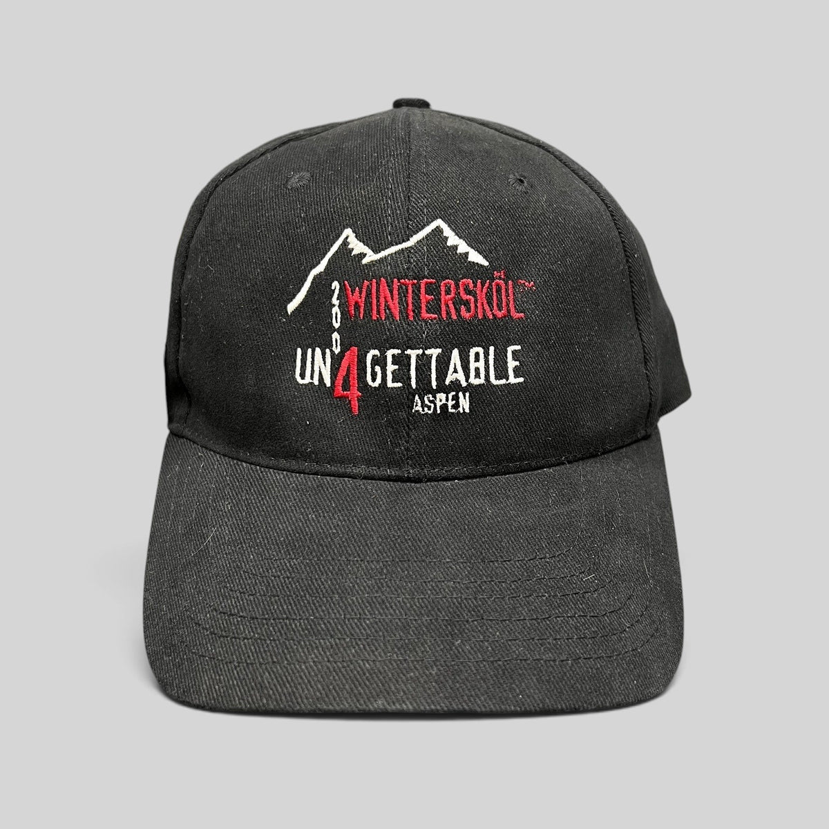 Raree Finds black 2004 Aspen Wintersköl Un4gettable stretch fit hat with embroidered mountain and festival logo