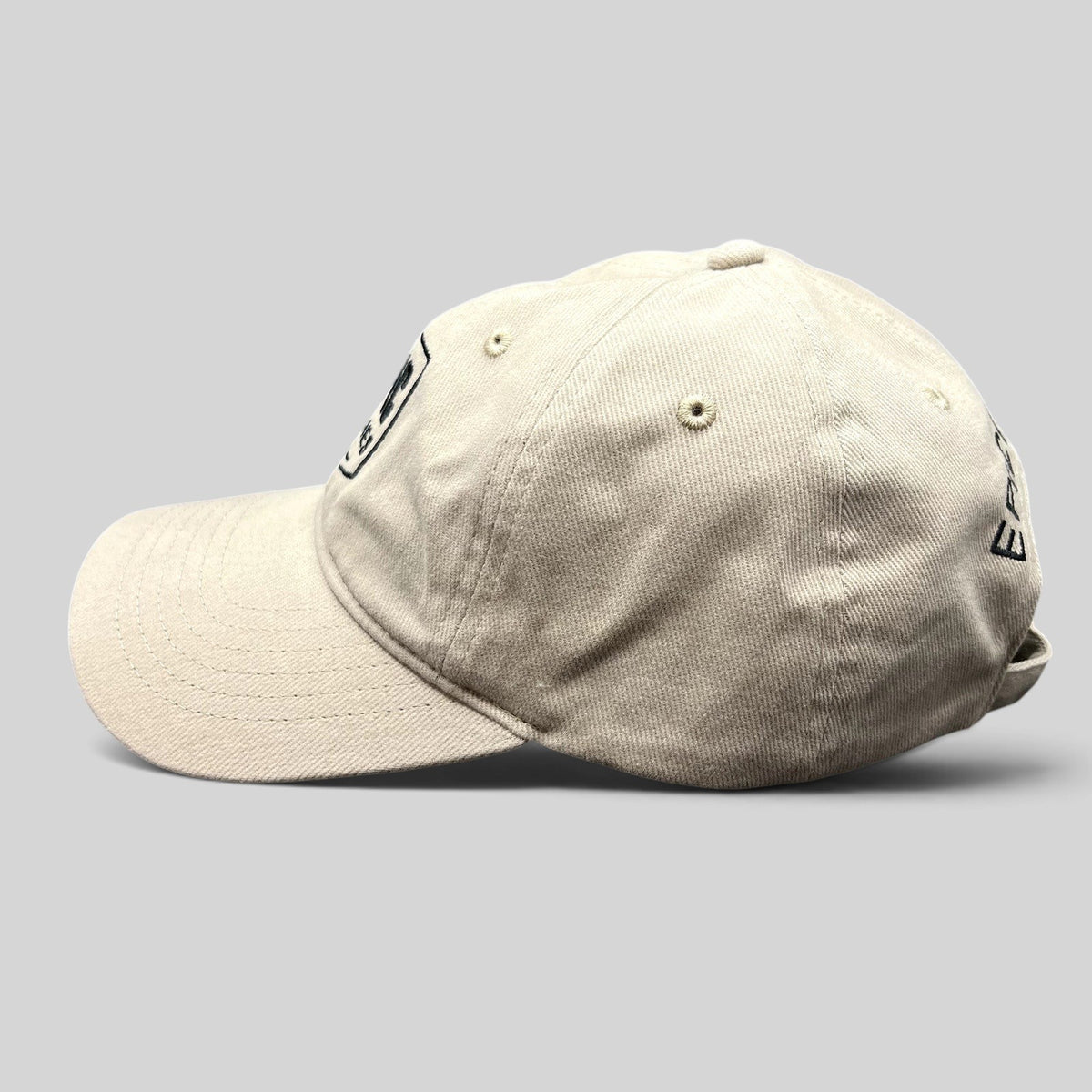 Raree Finds beige cotton twill dad cap with Epic Games logo embroidery and curved brim, side profile view.