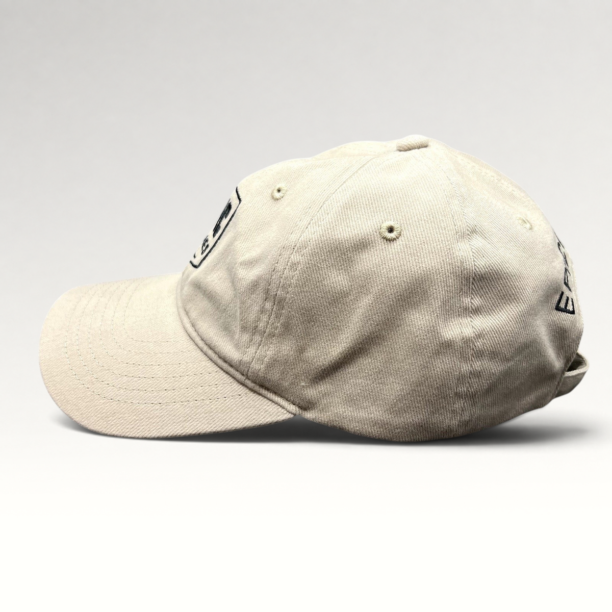 Raree Finds beige cotton twill dad cap with Epic Games logo embroidery and curved brim, side profile view.