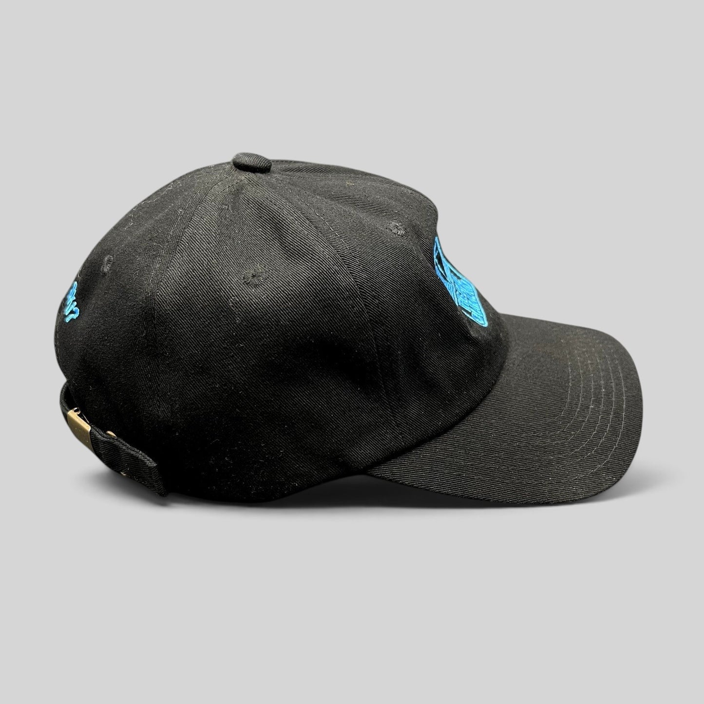 Raree Finds black cotton strapback hat with blue diamond logo and Do You Ski embroidery in a vintage ski style.