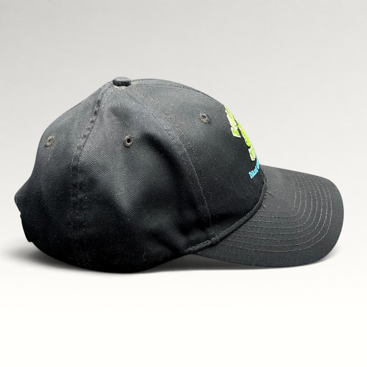 Raree Finds vintage black cotton strapback hat with embroidered Bullfrog Marina frog logo and aqua blue text.