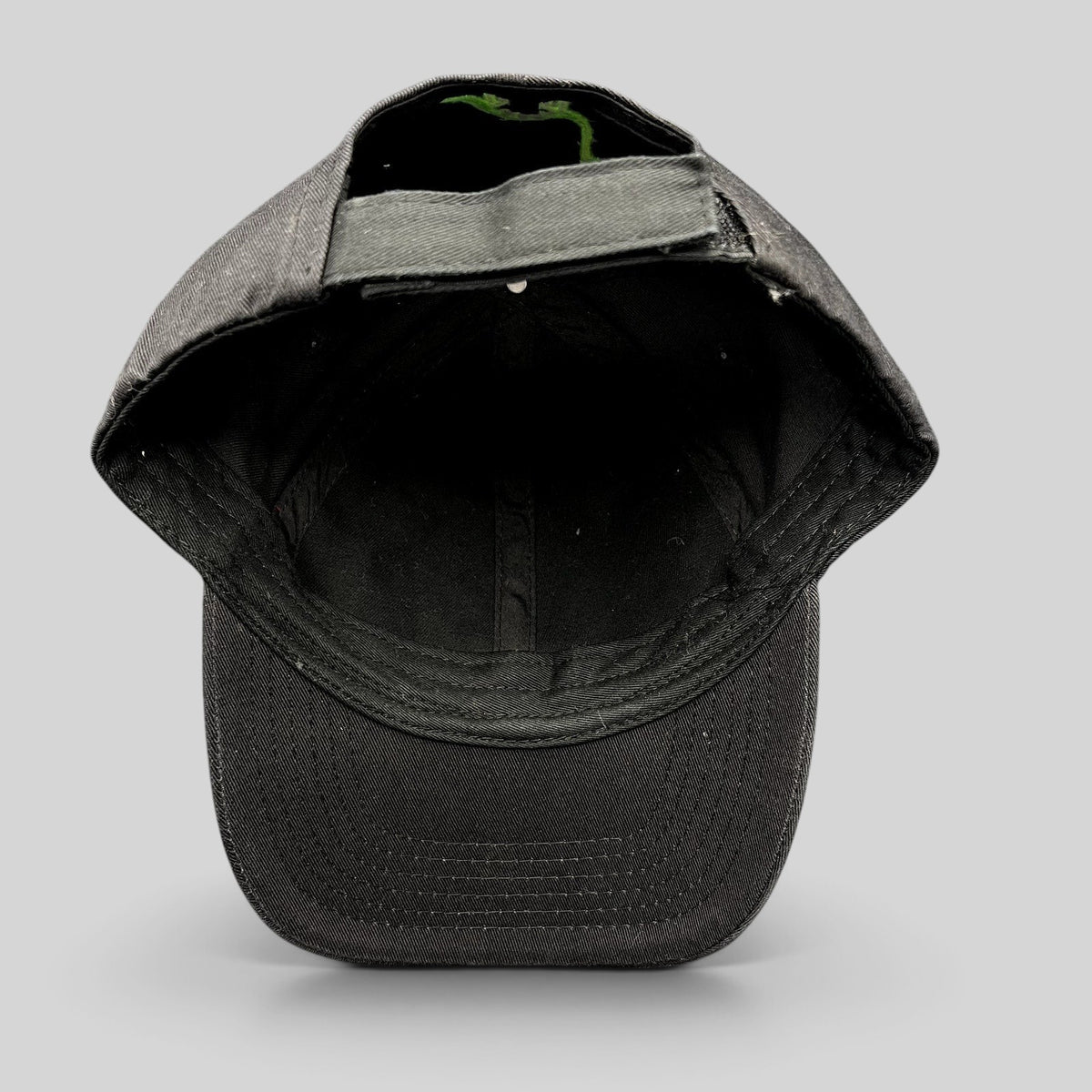 Raree Finds black Disney Pixar The Good Dinosaur strapback hat with green dinosaur embroidery on the back strap