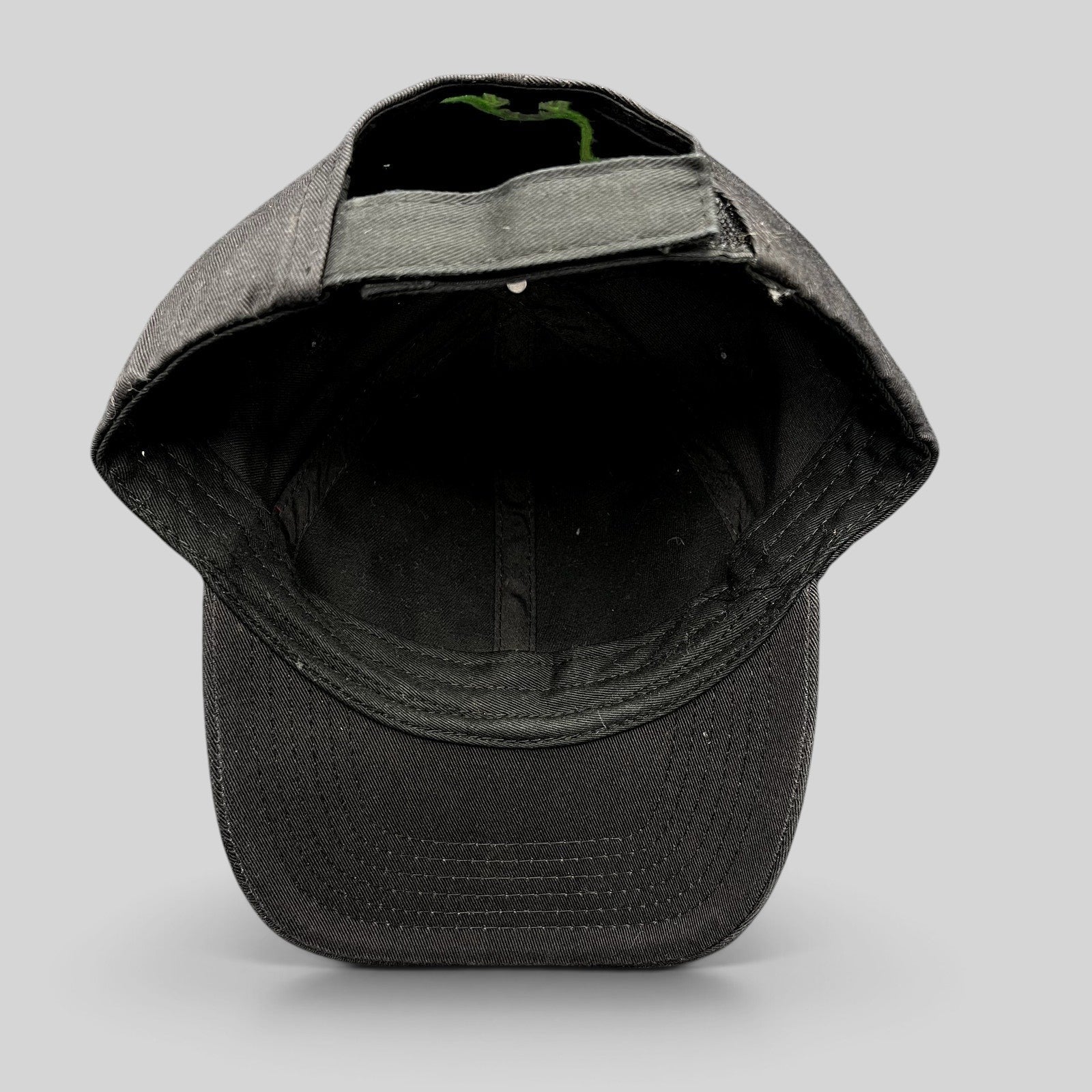 Raree Finds black Disney Pixar The Good Dinosaur strapback hat with green dinosaur embroidery on the back strap
