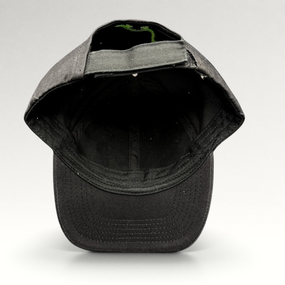 Raree Finds black Disney Pixar The Good Dinosaur strapback hat with green dinosaur embroidery on the back strap