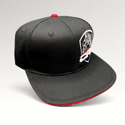 Raree Finds black snapback hat with embroidered ERA racing logo and red, white, and blue accents on a flat brim.