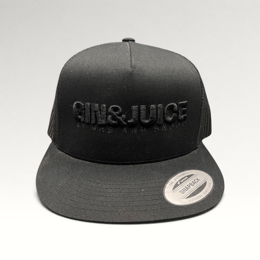 Raree Finds black Gin & Juice snapback hat with puff embroidery, flat bill, and mesh back on a dark background.